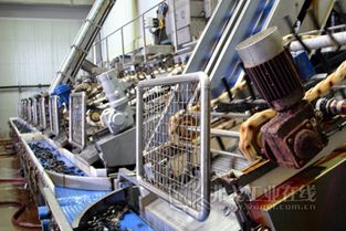 智慧海产 计算机系统集成赋能耐腐蚀柔性驱动系统，打造高效海鲜加工流水线